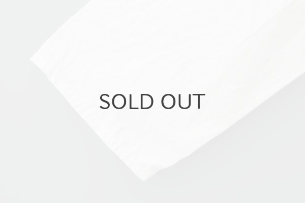 画像7: コンパクトウェザー長袖ブラウス (WH) (7)