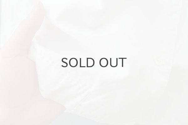 画像14: コンパクトウェザー長袖ブラウス (WH) (14)