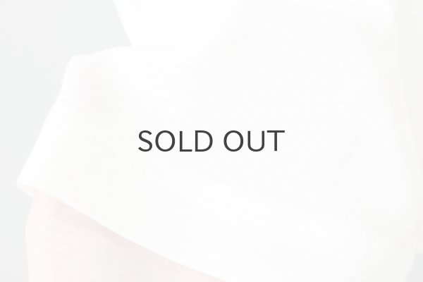 画像6: 60/1 フライス 半袖PO（241-6735:WH） (6)