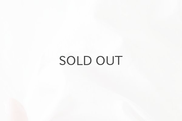 画像9: バルキーシーチングフリル PO BL (252-5746:WH) (9)