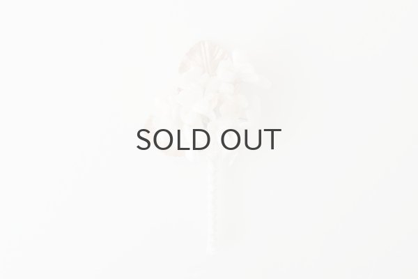 画像2: violet  (OF) (2)