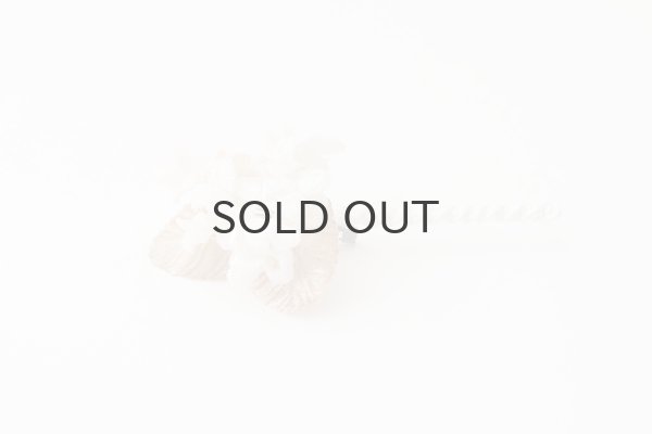 画像3: violet  (OF) (3)