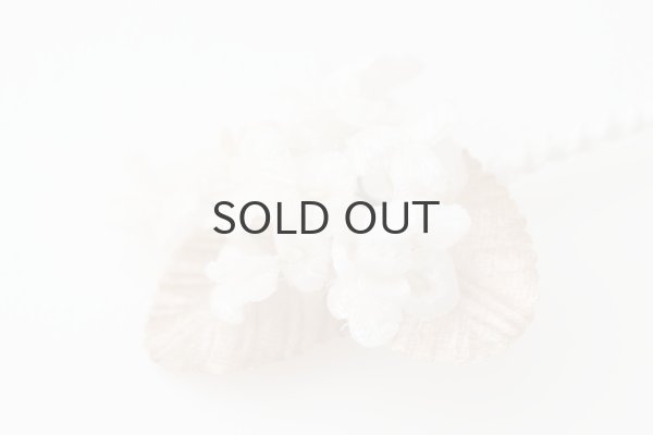 画像6: violet  (OF) (6)