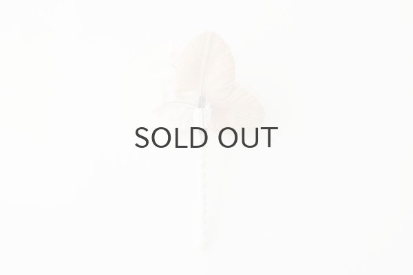 画像5: violet  (OF) (5)