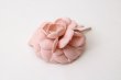 画像4: camellia  (PK) (4)