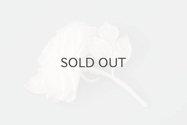 画像4: 花の蜜 (OF) (4)