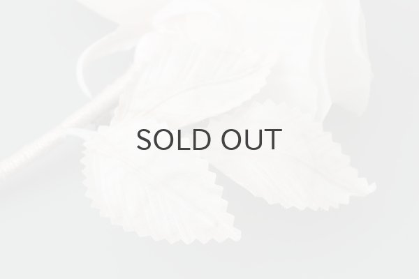 画像6: 花の蜜 (OF) (6)