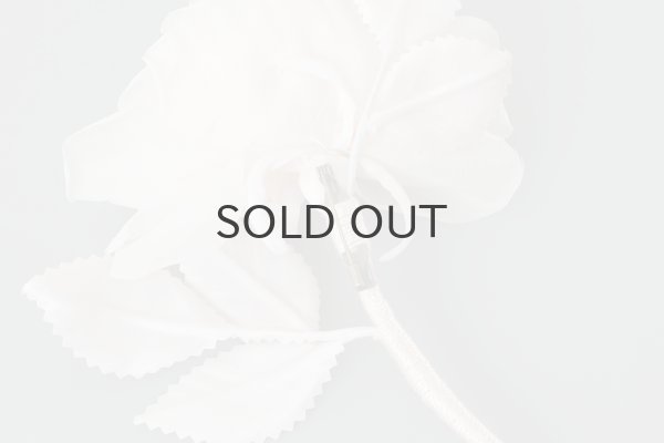 画像5: 花の蜜 (OF) (5)