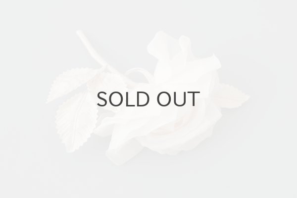 画像2: 花の蜜 (OF) (2)