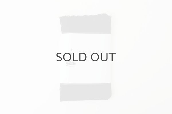 画像6: stretch lace socks (BK) (6)