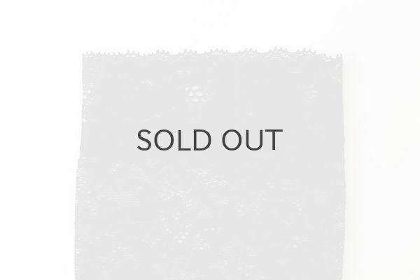 画像2: stretch lace socks (BK) (2)