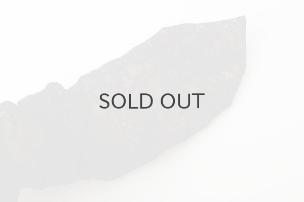 画像5: stretch lace socks (BK) (5)