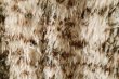 画像15: paint fringe jacket (15)