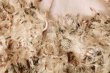 画像5: paint fringe jacket (5)