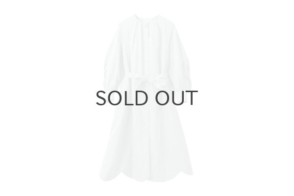 画像1: 別注!! micro taffta coat (BLGY) (1)