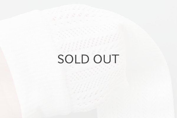 画像9: stripe mesh socks (9)