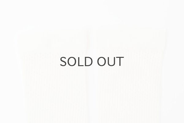 画像4: Mesh Socks (4)