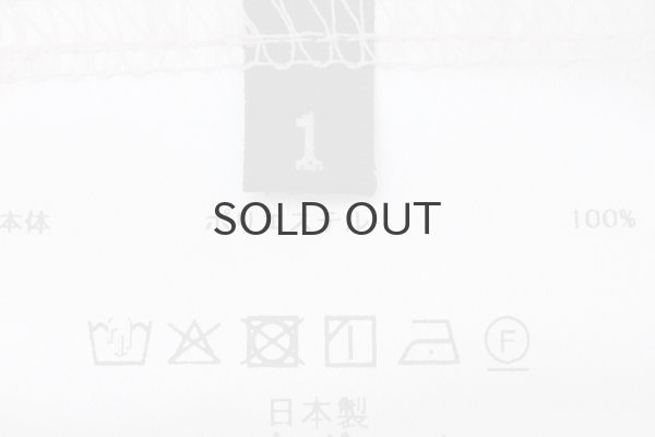 画像10: cherry rose tulle print top (OF) (10)