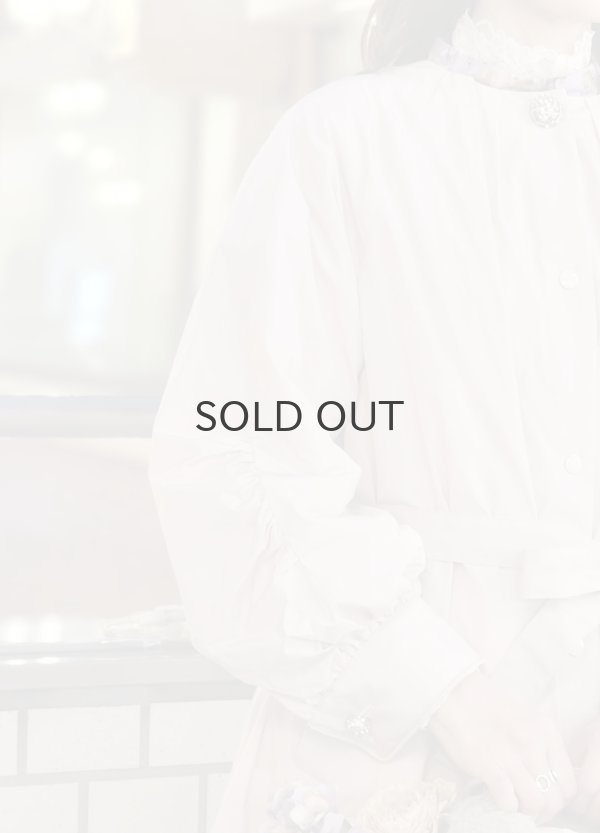 画像34: 別注!! micro taffta coat (BLGY) (34)