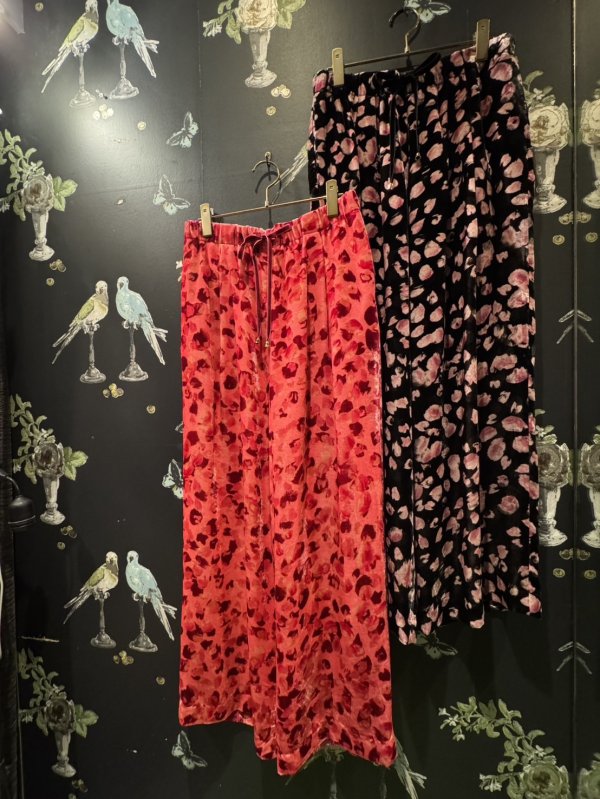 画像8: petal velvet pants (PK) (8)