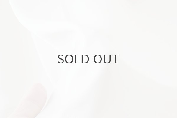 画像6: petticoat (MU0092:EC) (6)