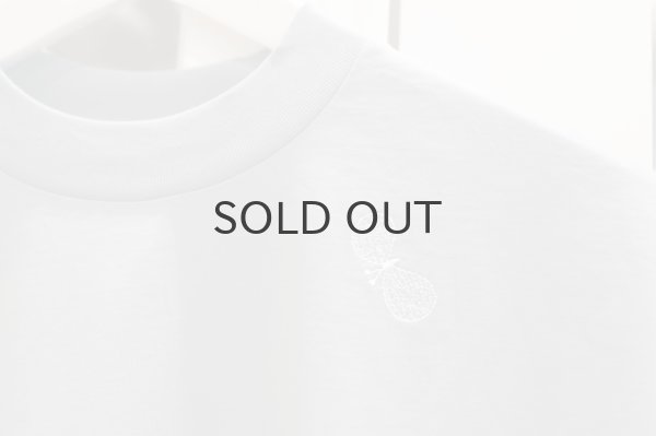 画像11: choucho カットソー (ACA8931:WH) (11)