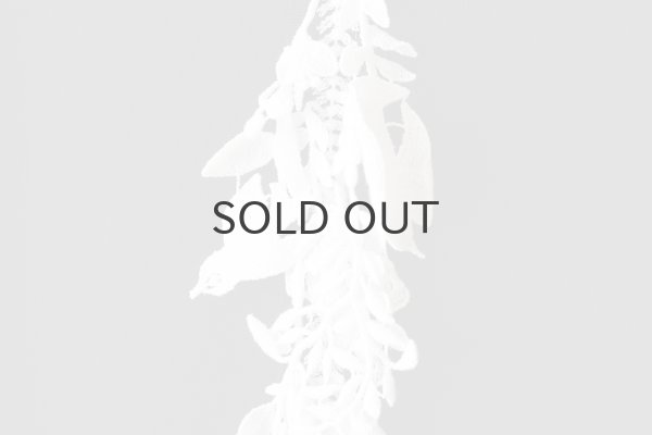 画像4: forest parade スカート (ACA5375:DNY) (4)