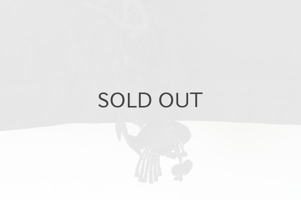 画像6: forest parade ジャケット (ACA2412) (6)