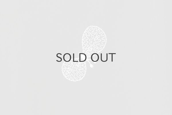 画像5: choucho シャツドレス (ADS3161:BK) (5)