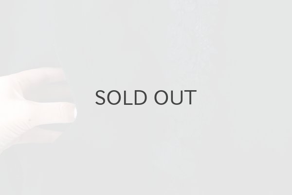 画像6: forest parade ブルゾン (AES2445:BK) (6)