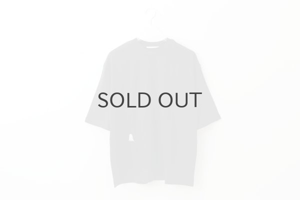 画像1: troll カットソー (AES8070:DNV) (1)