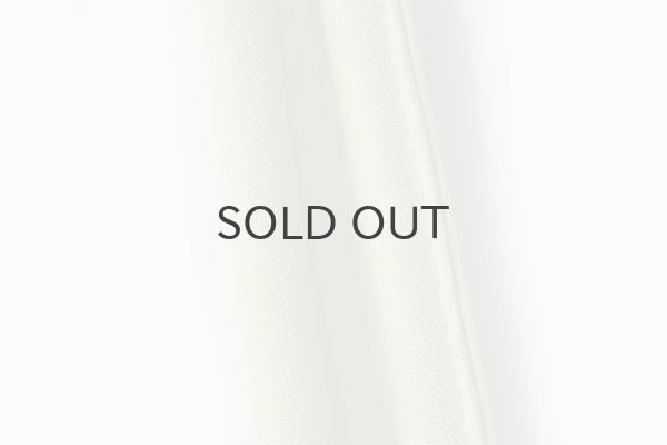 画像3: SILVA BAG (PS) (3)