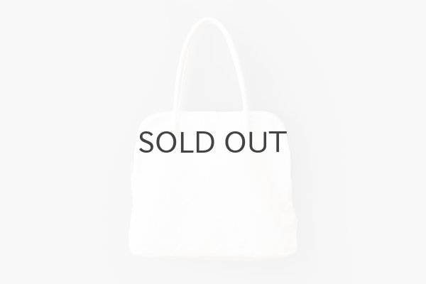画像1: SILVA BAG (WH) (1)