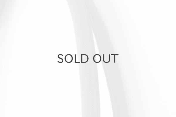 画像6: SILVA BAG (SP) (6)