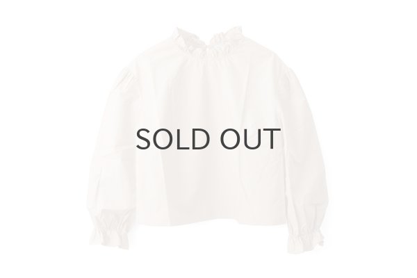 画像1: 別注カラー!! STAND COLLAR LONG SLEEVE TOP  (BG) (1)