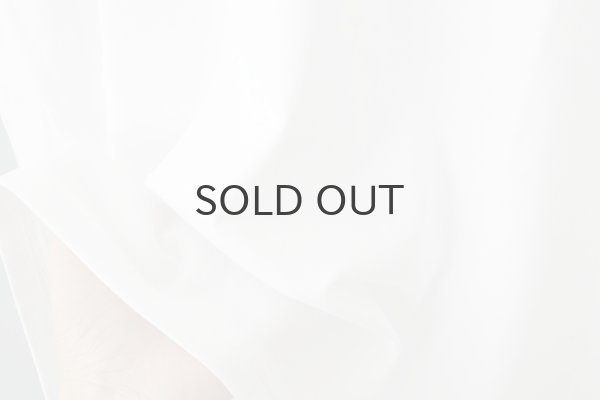 画像9: Souvenir T-Shirts "Paris" Beret Poodle (9)