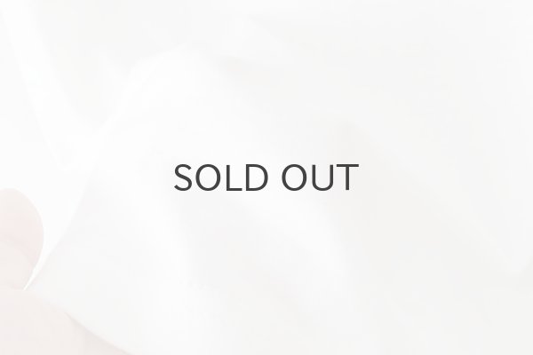 画像7: Cinephile T-Shirts Animals Family (7)