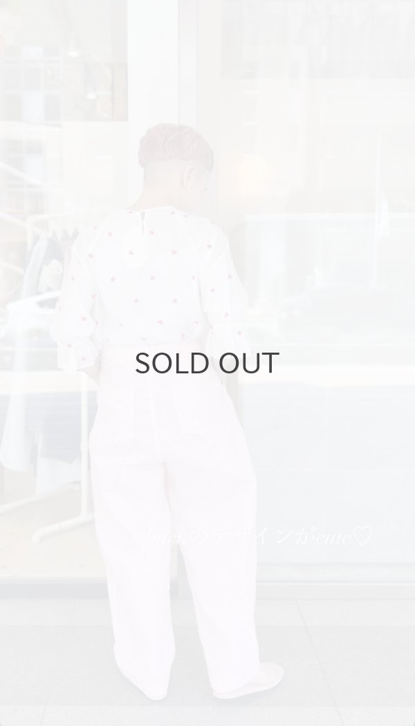 画像17: Sketch trousers (PK) (17)