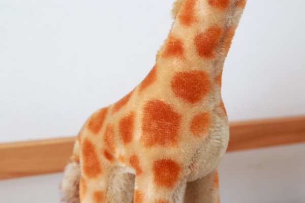画像9: 1960年代シュタイフ社のキリン (Giraffe) (9)